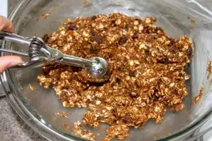 Healthy Oatmeal Raisin Cookies 2 11