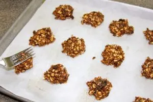 Healthy Oatmeal Raisin Cookies 2 12