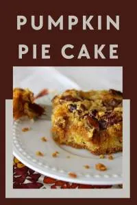 Experience the best of fall with this easy-to-make dessert that combines the flavors of pumpkin pie and cake. Made with a yellow cake mix, pumpkin puree, cinnamon, and brown sugar, it's a comforting treat perfect for autumn gatherings. Top with pecans for added crunch and flavor. #PumpkinPieCake #FallDesserts #AutumnTreats #EasyBaking #CookingWithRuthie