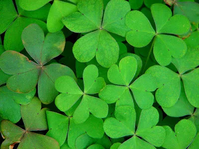 St. Patrick's Day Family Fun by she calls me mama leisha on www.whatscookingwithruthie.com