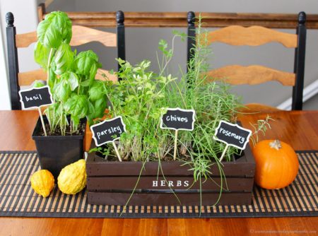 Indoor Herb Planter on www.cookingwithruthie.com