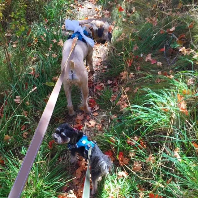 Autumn Hiking on www.cookingwithruthie.com we love to hit the trails! 