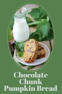 Moist and cozy, this Pumpkin Chocolate Chunk Sourdough Bread blends spiced pumpkin, tangy sourdough, and melty dark chocolate into the ultimate fall treat. | cookingwithruthie.com #PumpkinBread #SourdoughLoaf #FallBaking #ChocolateLovers #AutumnRecipes #HomemadeBread #CookingWithRuthie