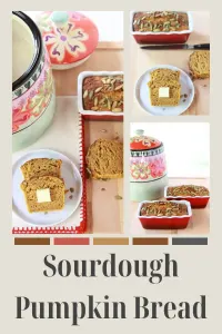 Experience the perfect blend of fall flavors with this moist and flavorful sourdough pumpkin bread. Made with fresh sourdough starter, pumpkin puree, and warm spices, it's a delightful treat for the season. Ideal for breakfast, snacks, or sharing with loved ones. #SourdoughPumpkinBread #FallBaking #PumpkinSeason #CookingWithRuthie
