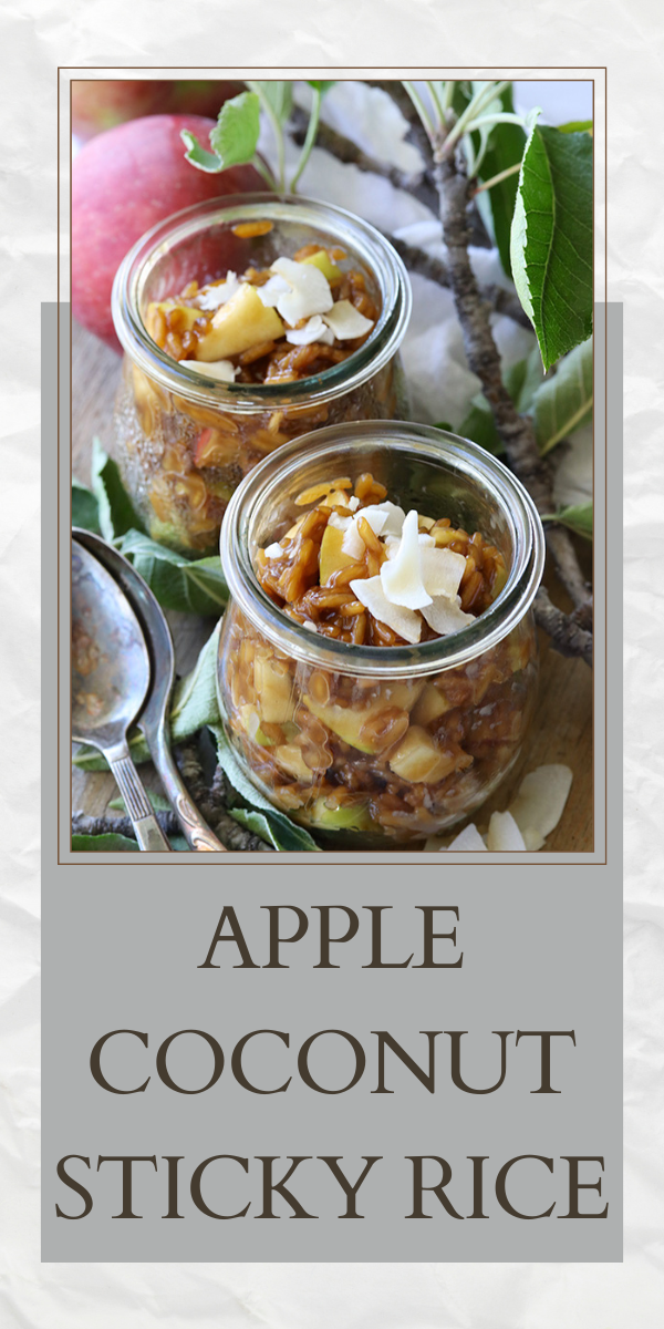 Sticky Rice Apple Apple Coconut Sticky Rice Recipe - Cooking With Ruthie
